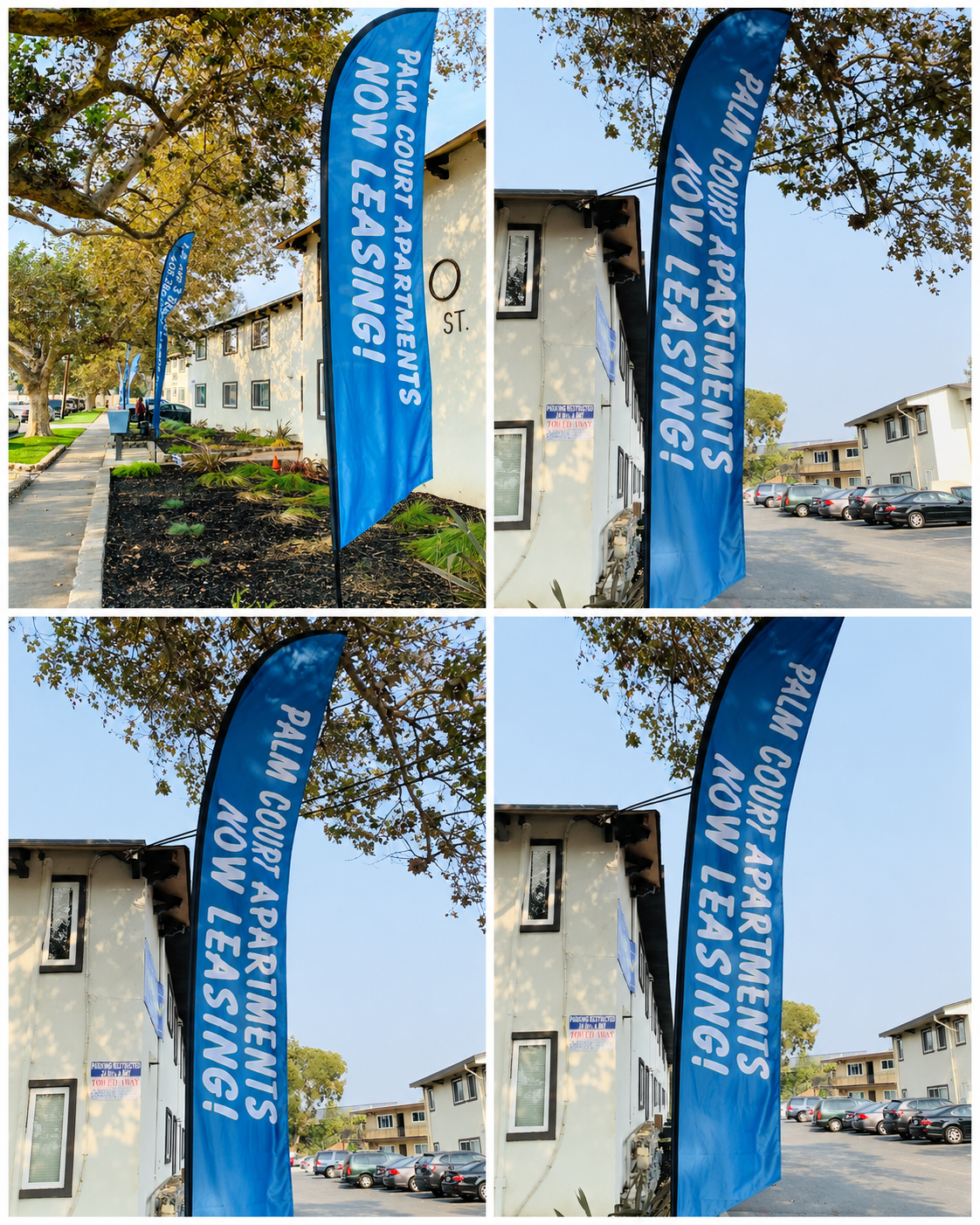 Palm Court Apartments Now Leasing vinyl feather flags — Clear Line Signs San Jose