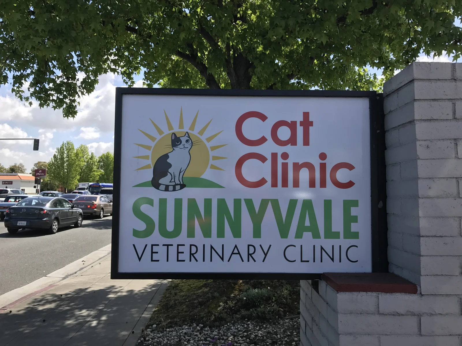 Sunnyvale Cat Clinic lightbox monument sign Sunnyvale California