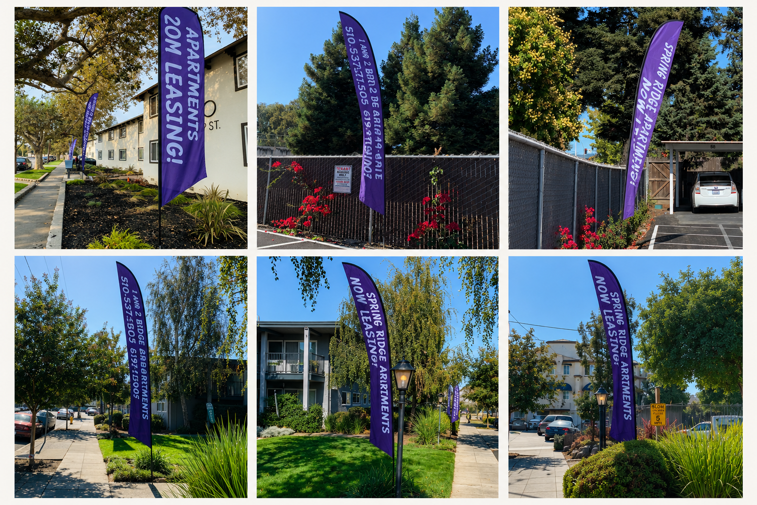 Spring Ridge Apartments Now Leasing vinyl feather flags — Clear Line Signs Hayward