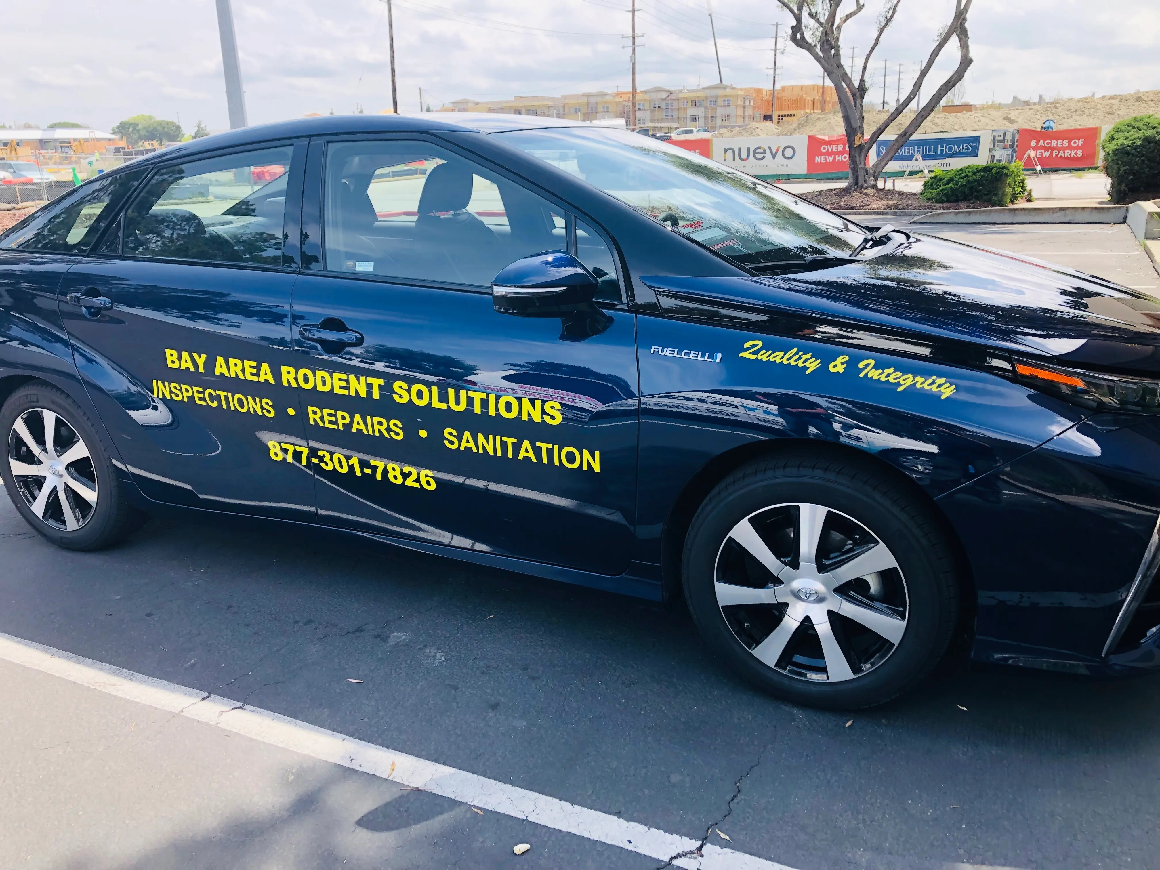 Bay Area Rodent Solutions yellow cut vinyl lettering on Toyota car